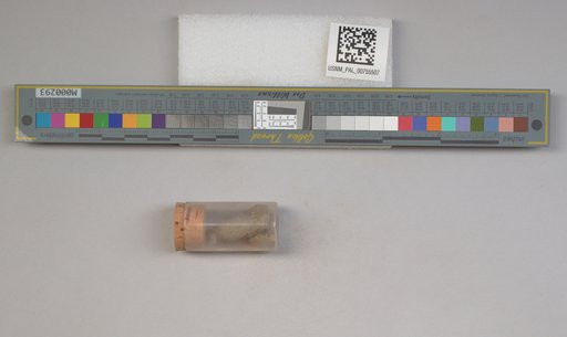 NSF ADBC EPICC TCN