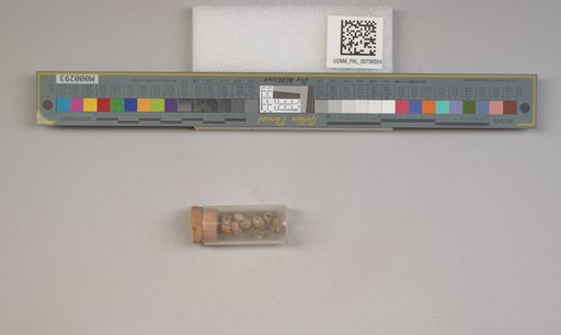 NSF ADBC EPICC TCN