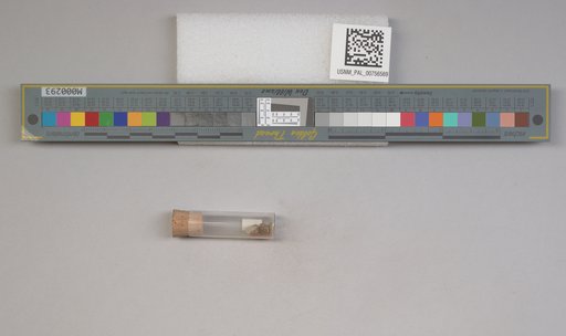 NSF ADBC EPICC TCN