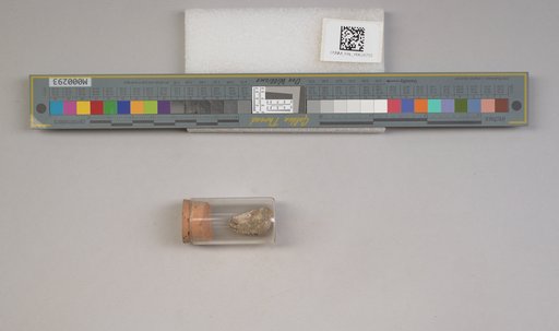 NSF ADBC EPICC TCN
