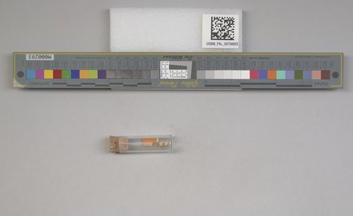 NSF ADBC EPICC TCN