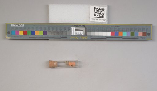 NSF ADBC EPICC TCN
