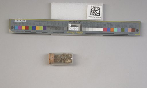 NSF ADBC EPICC TCN