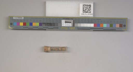NSF ADBC EPICC TCN