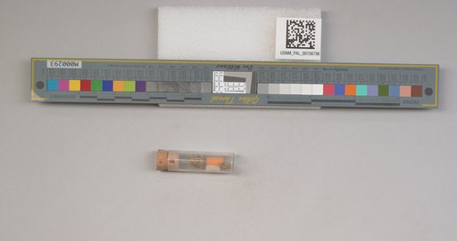 NSF ADBC EPICC TCN