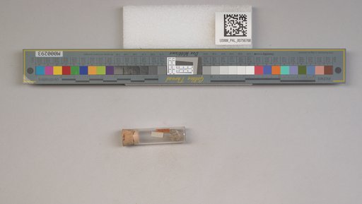 NSF ADBC EPICC TCN