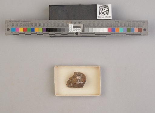 NSF ADBC EPICC TCN