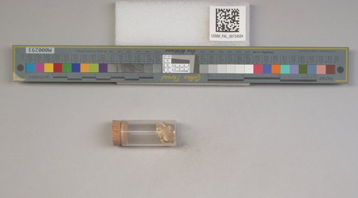 NSF ADBC EPICC TCN