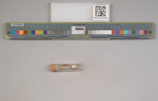 NSF ADBC EPICC TCN