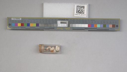 NSF ADBC EPICC TCN