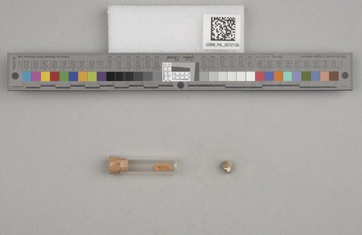 NSF ADBC EPICC TCN