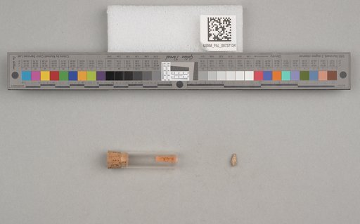 NSF ADBC EPICC TCN