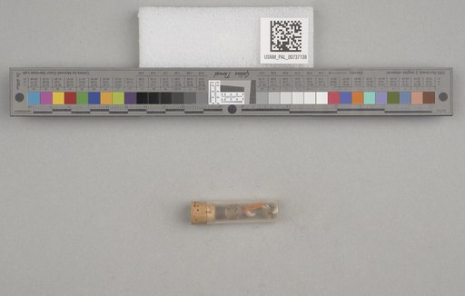 NSF ADBC EPICC TCN