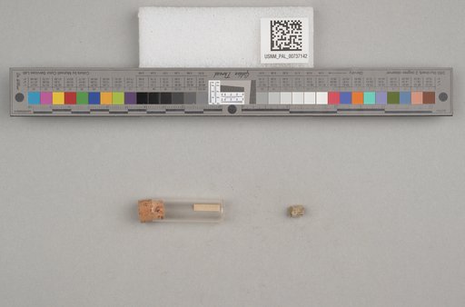 NSF ADBC EPICC TCN