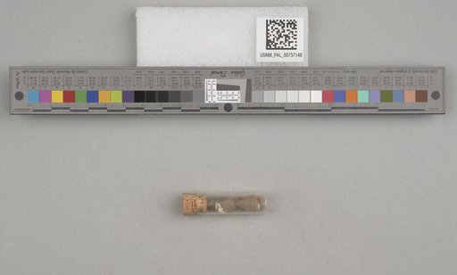 NSF ADBC EPICC TCN