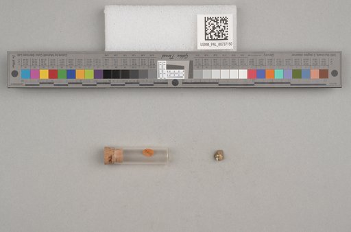 NSF ADBC EPICC TCN