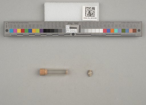 NSF ADBC EPICC TCN
