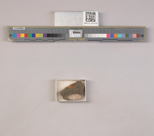 NSF ADBC EPICC TCN