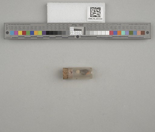 NSF ADBC EPICC TCN