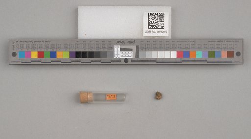 NSF ADBC EPICC TCN