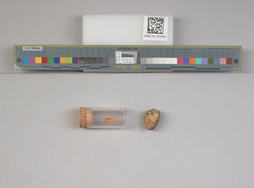 NSF ADBC EPICC TCN