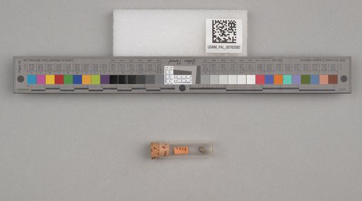 NSF ADBC EPICC TCN