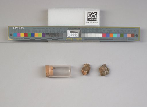 NSF ADBC EPICC TCN