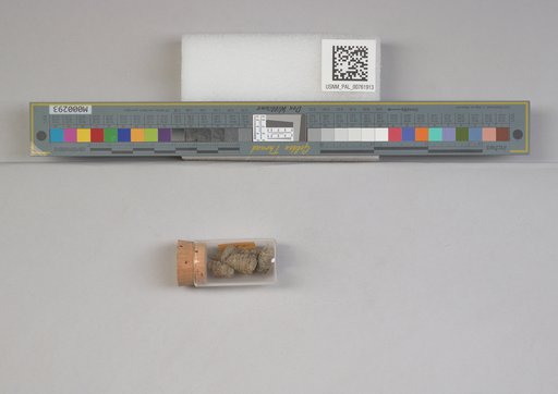 NSF ADBC EPICC TCN