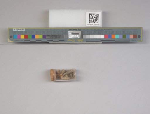 NSF ADBC EPICC TCN