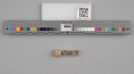 NSF ADBC EPICC TCN