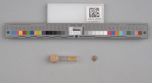 NSF ADBC EPICC TCN