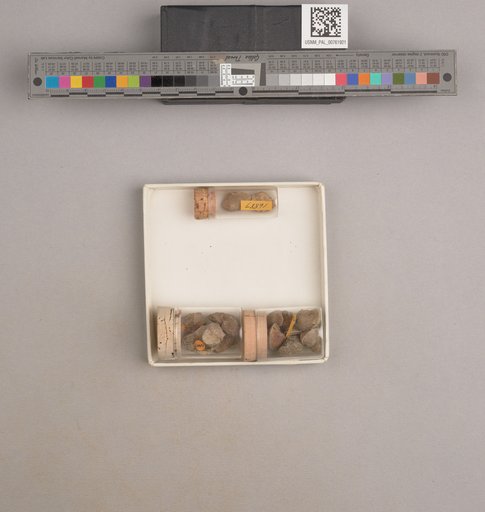 NSF ADBC EPICC TCN