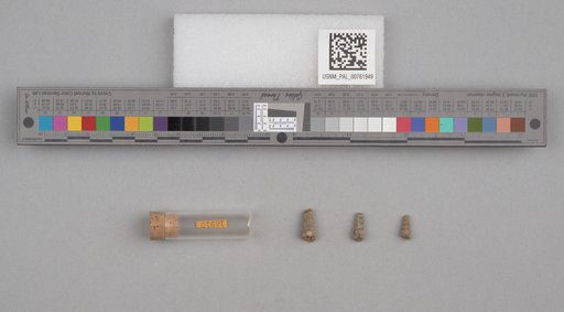 NSF ADBC EPICC TCN
