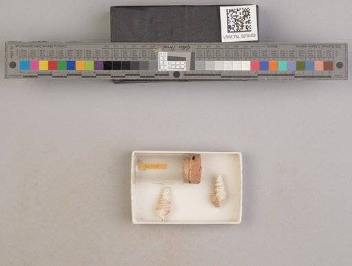 NSF ADBC EPICC TCN