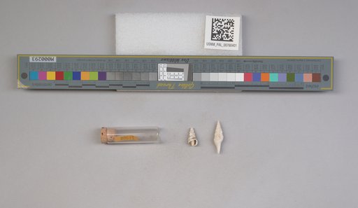 NSF ADBC EPICC TCN
