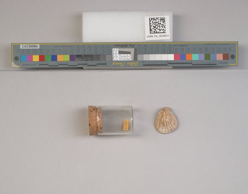 NSF ADBC EPICC TCN