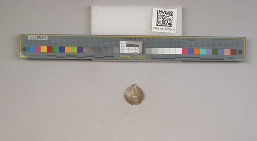 NSF ADBC EPICC TCN