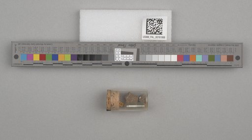 NSF ADBC EPICC TCN