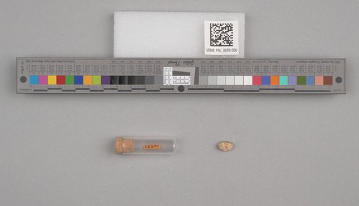 NSF ADBC EPICC TCN