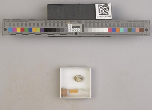 NSF ADBC EPICC TCN
