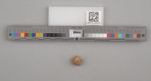 NSF ADBC EPICC TCN