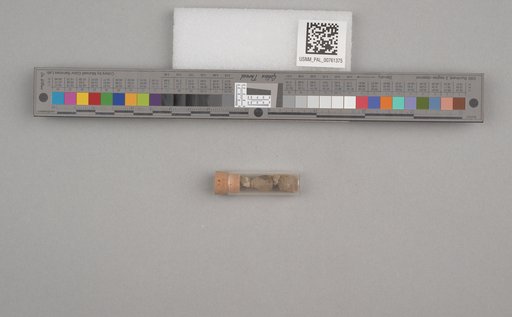 NSF ADBC EPICC TCN