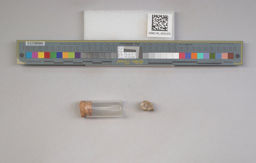 NSF ADBC EPICC TCN