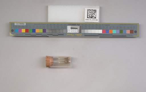NSF ADBC EPICC TCN