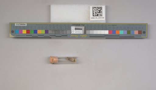 NSF ADBC EPICC TCN