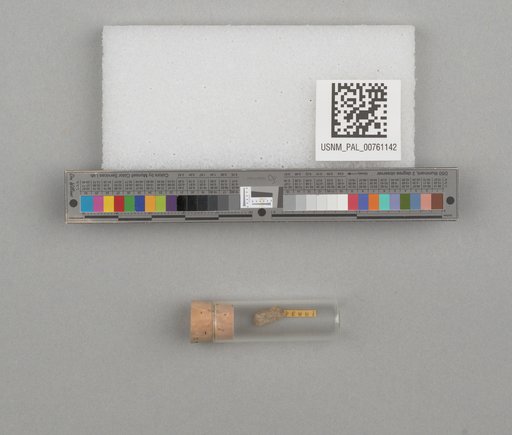 NSF ADBC EPICC TCN
