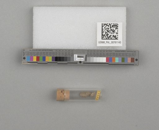 NSF ADBC EPICC TCN
