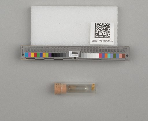 NSF ADBC EPICC TCN