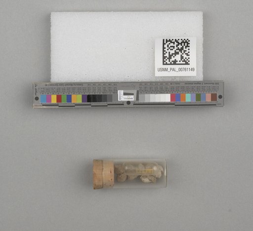 NSF ADBC EPICC TCN