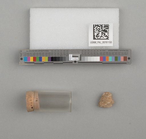 NSF ADBC EPICC TCN